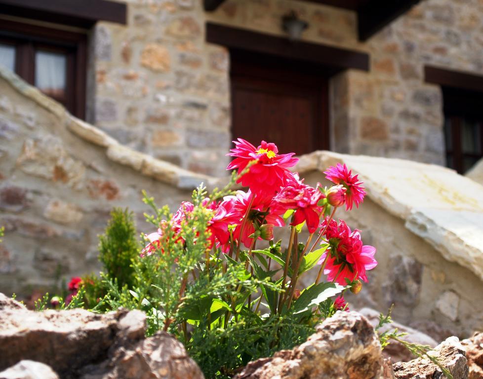 Oihalia Guesthouse Fidhákia Extérieur photo